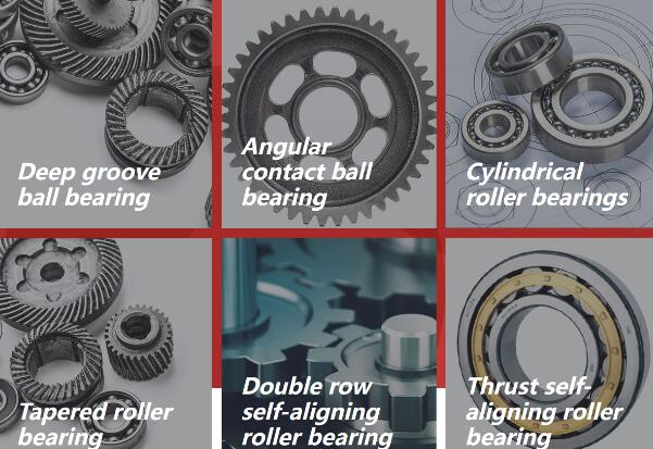 Key Products