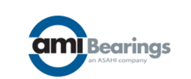 AMI Bearings Inc