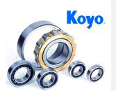 KOYO Special Environmental Ball Bearings
