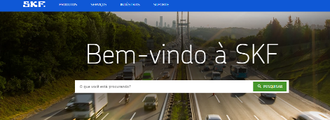 SKF do Brasil Ltda.