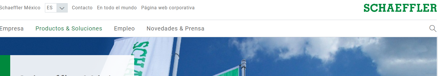 Schaeffler Mexico
