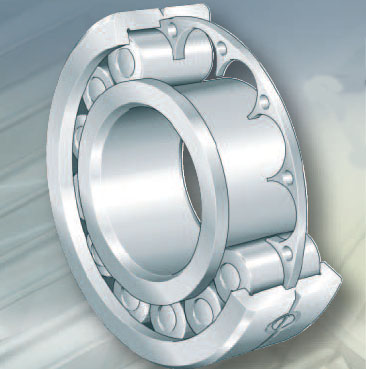 INA Cylindrical roller bearings