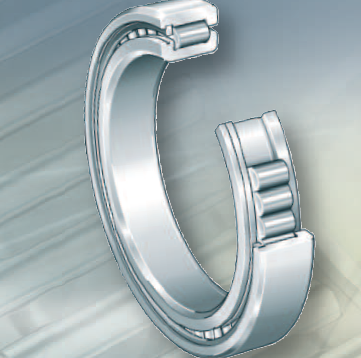 INA ull complement cylindrical roller bearings