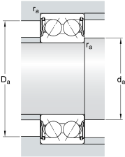 SKF Angular Contact Ball Bearings,double row