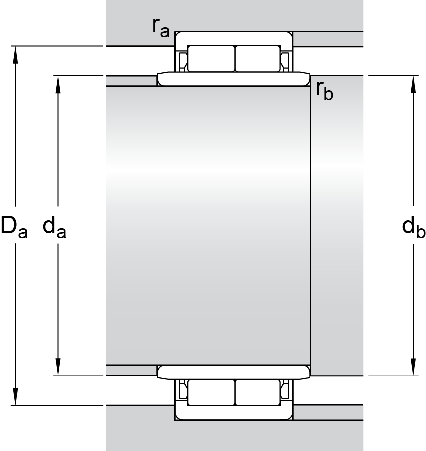 SKF Cylindrical Roller Bearings,double row