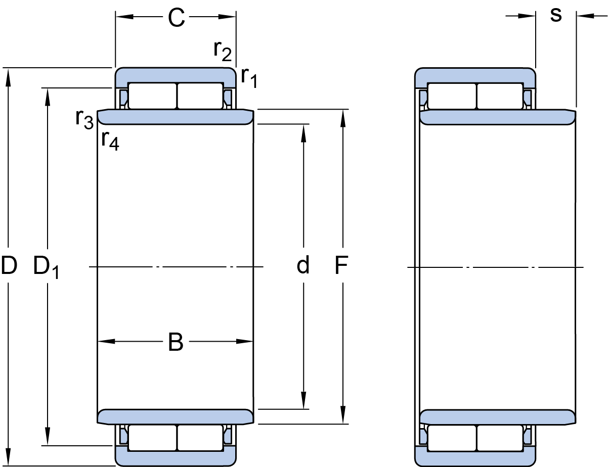 SKF Cylindrical Roller Bearings,double row