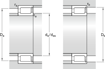 SKF Cylindrical Roller Bearings,full complement