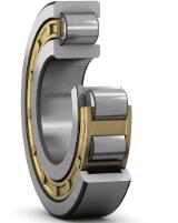 Cylindrical Roller Bearings