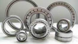 Types of full complement cylindrical roller bearings