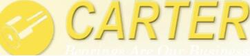 Carter Bearings